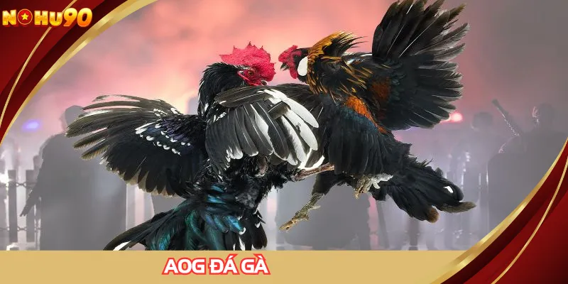 AOG Đá Gà