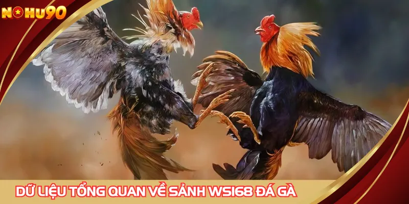 Dữ liệu tổng quan về sảnh WS168 đá gà